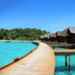 Meet your Posher, Thomas